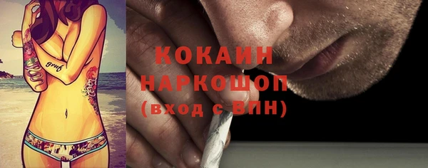гидра Алексеевка