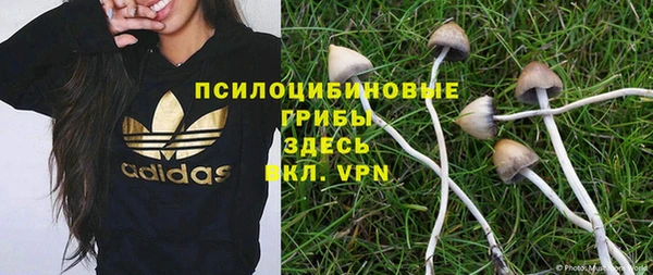 амф Алексин