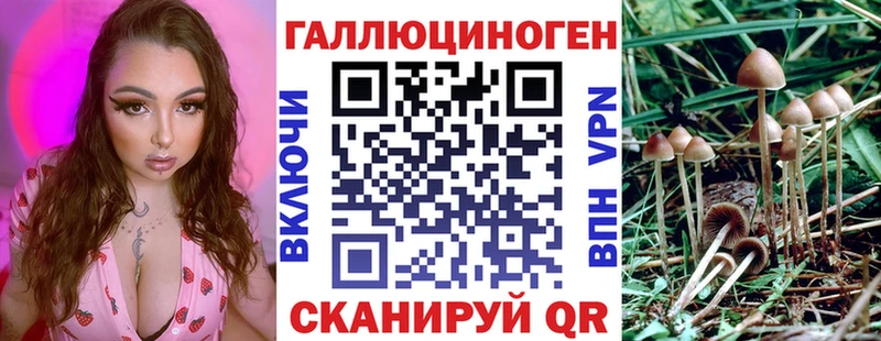 Галлюциногенные грибы Psilocybe  МЕГА ONION  Красногорск  как найти  